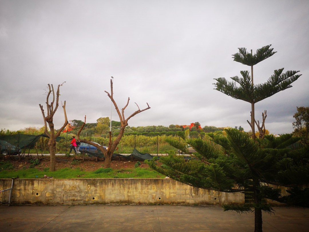 IMG_20191127_224613_014